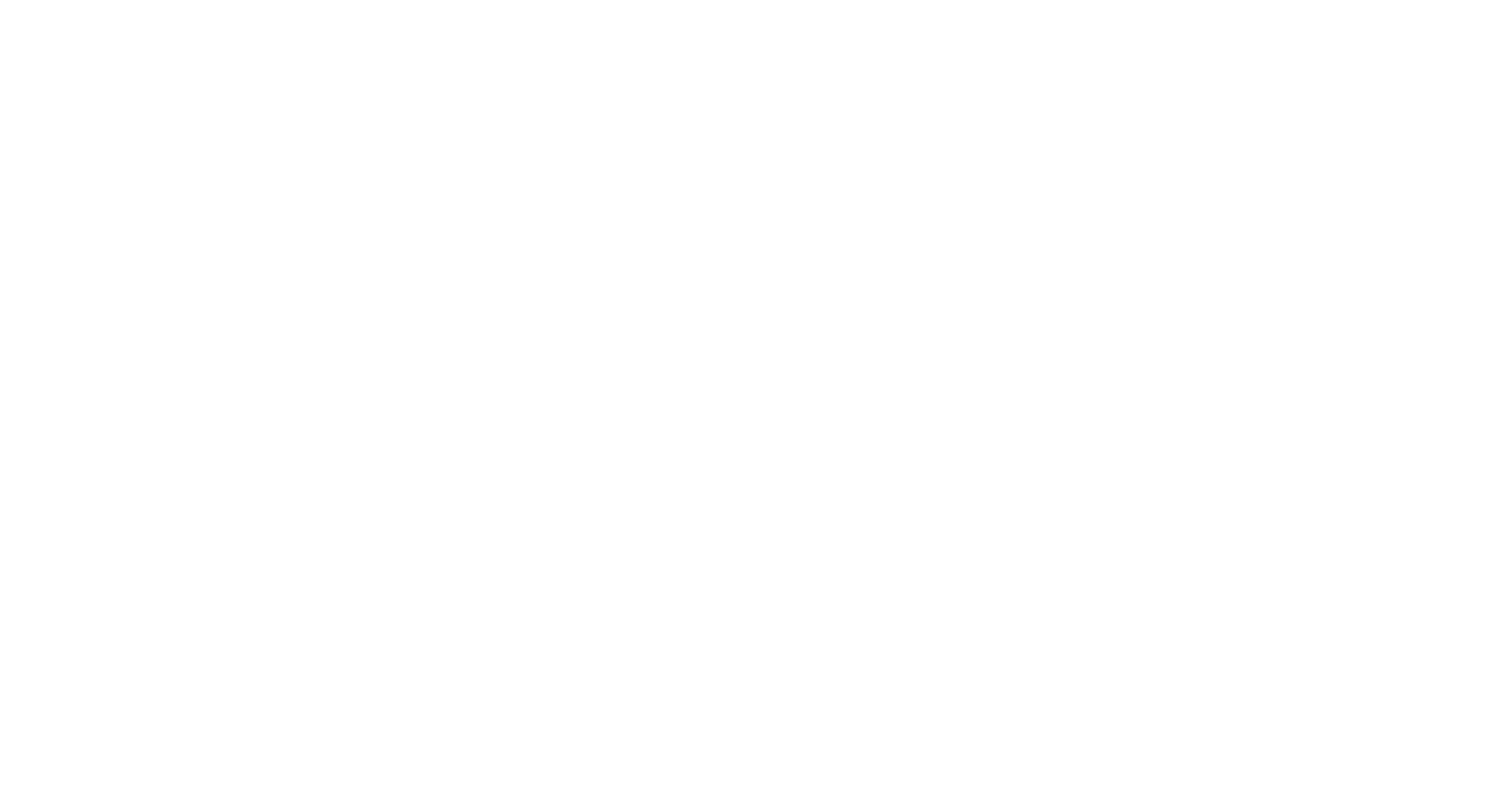 The Vaskez Brothers logo